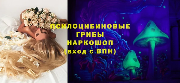 кокс Аркадак